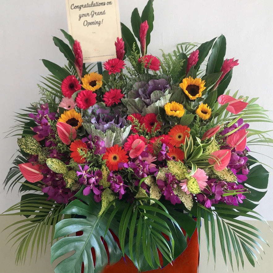 Congratulatory Stand - Wonderous Success