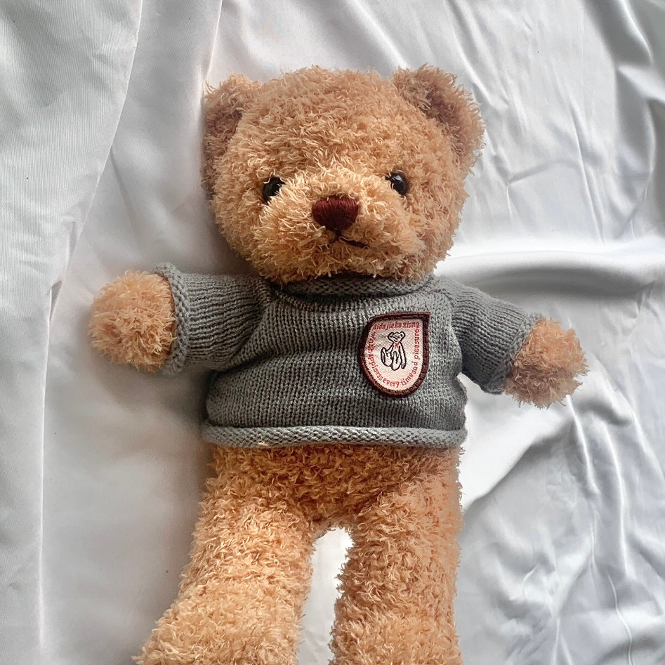 Teddy Plush Toy