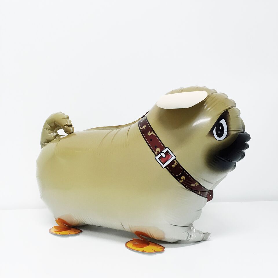 Pug