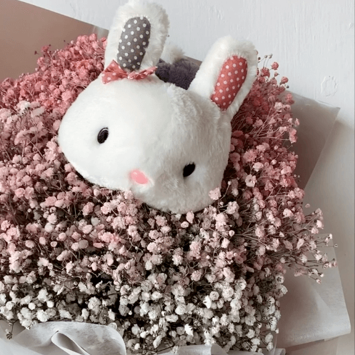 Celestial Fields (Ombre Bunny)