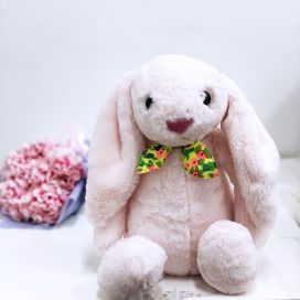 Pink Bunny Plushie