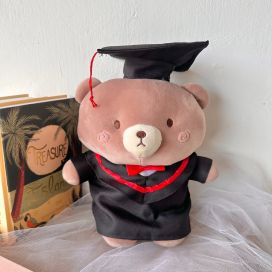 Graduation Series - Mr Grad Bear